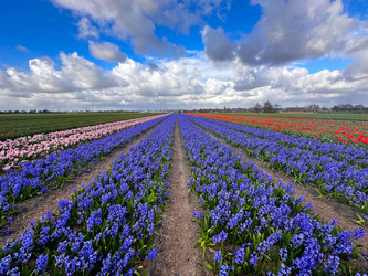 Similar image 22587493