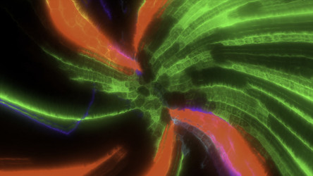 Similar image 22568281