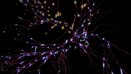 Similar image 22573653