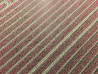 Similar image 22587836