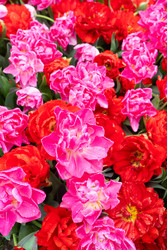 Similar image 22587849