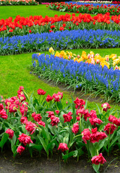 Similar image 22587929