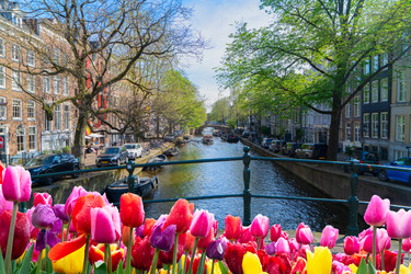 Similar image 22587941