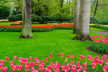 Similar image 22587958