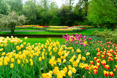 Similar image 22587974