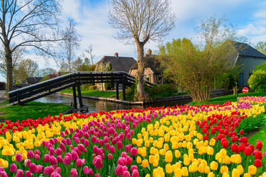 Similar image 22587987