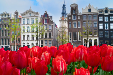 Similar image 22587988