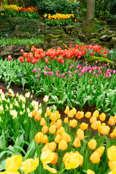 Similar image 22587989