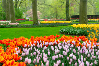 Similar image 22588018