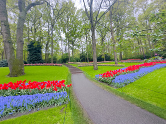 Similar image 22588031