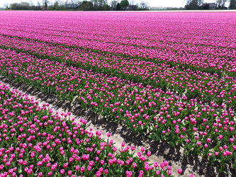 Similar image 22588032