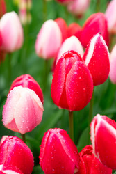 Similar image 22588034