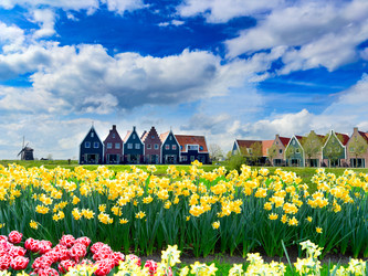 Similar image 22588045