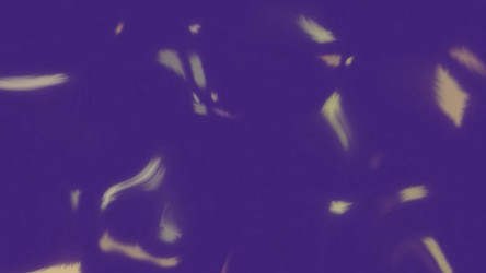 Similar image 22576901