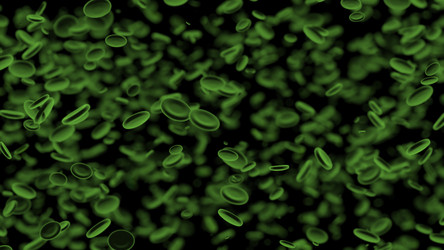 Similar image 22559072