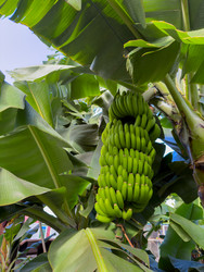 Similar image 22587147