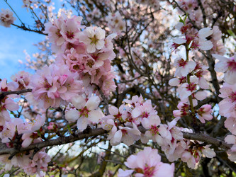 Similar image 22587148