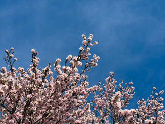 Similar image 22587163