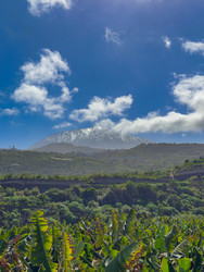 Similar image 22587210