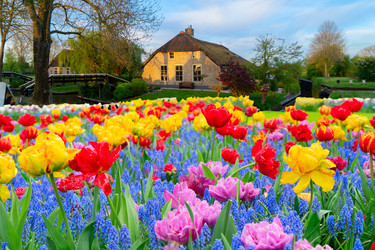 Similar image 22587224