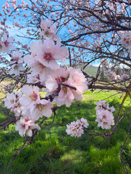 Similar image 22587250