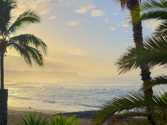 Similar image 22587251