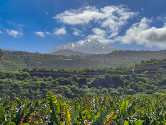 Similar image 22587252