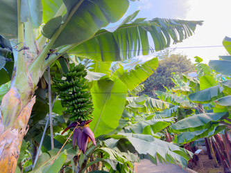 Similar image 22587253