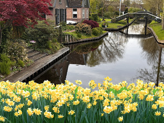 Similar image 22587267