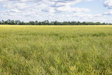 Similar image 22560166