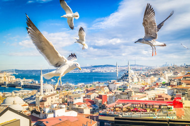 Similar image 22586984