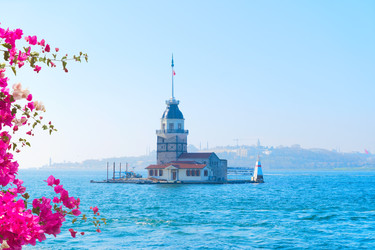 Similar image 22587041