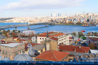 Similar image 22587104