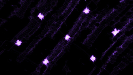 Similar image 22564259