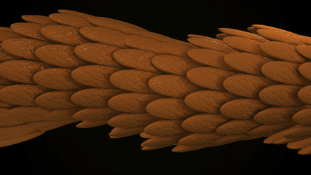 Similar image 22566542