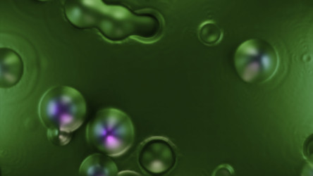 Similar image 22567031