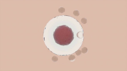 Similar image 22569168