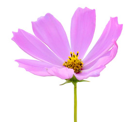 Similar image 22574945