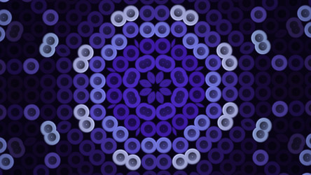 Similar image 22569219