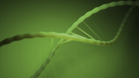 Similar image 22569525