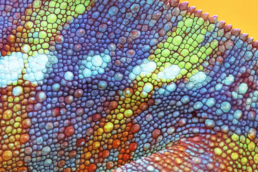 Similar image 22562065