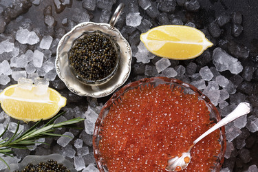 Similar image 22562001