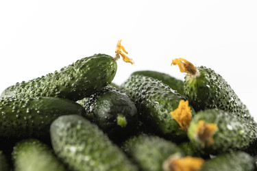 Similar image 22562005