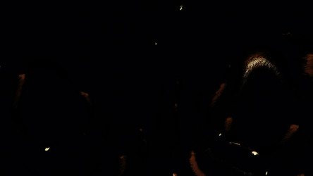 Similar image 22569426