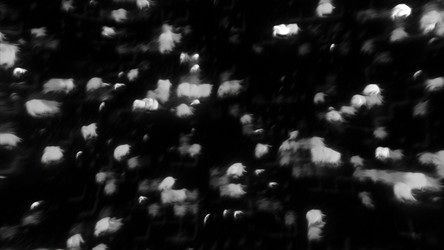 Similar image 22570542