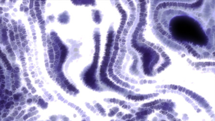 Similar image 22573254