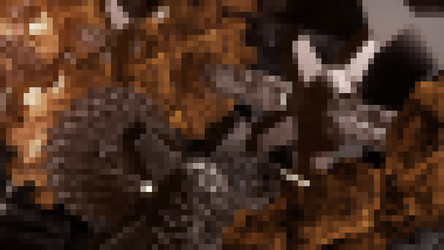 Similar image 22559330