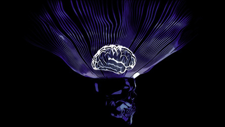 Similar image 22559477