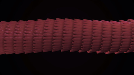 Similar image 22559734