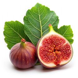 Similar image 22589767